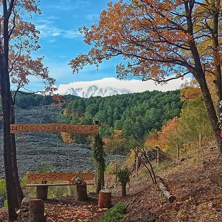 شاليه Bosco Magaudo - Casa U Parmento *