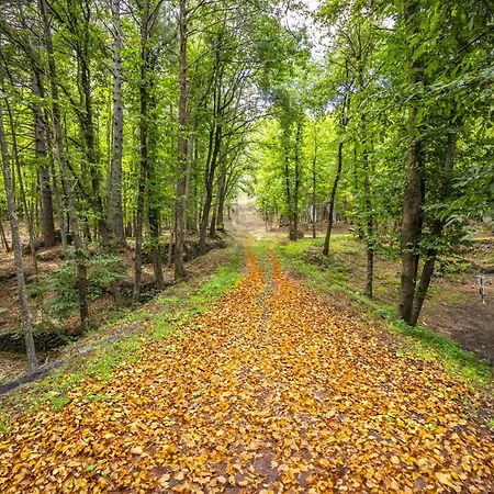 Bosco Magaudo - Casa U Parmento * لينغواغلوسا