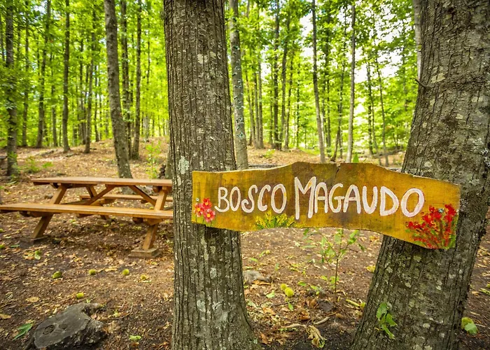 Bosco Magaudo - Casa U Parmento